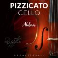 Inspiring Classical Pizzicato Cello
