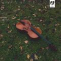 cello - cover 4