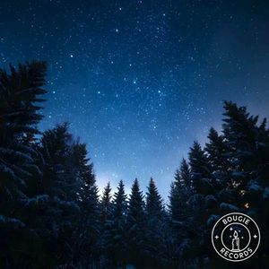 آلبوم لو فای تکه های بی صدا از هنرمندان مختلف