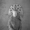 Synecdoche
