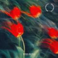 Strunz - cover 2