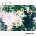 Small Wonders