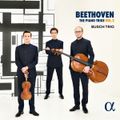Piano Trio in G Major, Op. 1 No. 2: I. Adagio - Allegro vivace