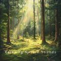 Whispering nature - cover 1