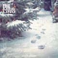 Elves In December