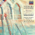 Concerto For Lute, 2 Violins And Continuo In D Major, Rv 93 2. Largo (Arr. For Guitar