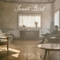 Sunset Bird [Sunset Bird]