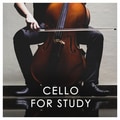 Variations On A Rococo Theme, Op.33, Th.57 Tema Moderato Semplice