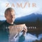 The Lonely Shepherd