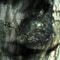 The Waltz Of The Monsters _ Accordions [The Waltz Of The Monsters]