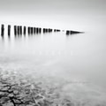 Timeless [Passage]