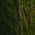 صحنه های خنثی - cover 1