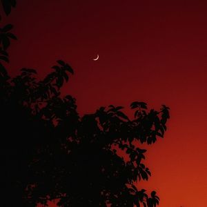 کاور آهنگ Cozy Corners از Krynoze