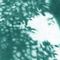 Late June Night - Hollie Kenniff Rework