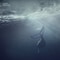 Whale Variation