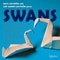 The Swan