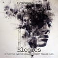 Elegies