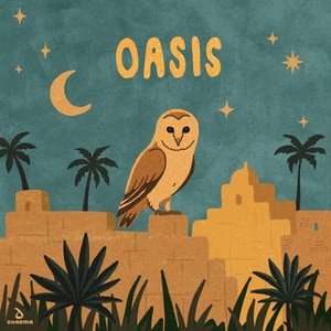 کاور آهنگ Oasis از KSHMR