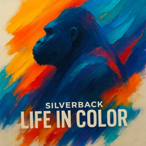 کاور آلبوم زندگی در رنگ ؛ موسیقی ارکسترال سینمایی و امیدبخش از سیلوربک از Silverback