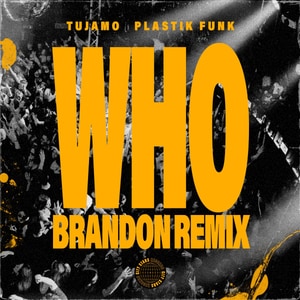 کاور آهنگ WHO (BRANDON Remix) از Tujamo