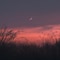 Crescent