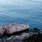 calm
