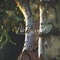 Birchwood