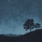 look at the stars