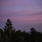 Until Dusk