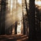 Forest Walks