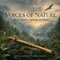 Birds of the Secret Garden