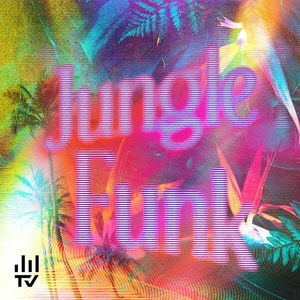 کاور آلبوم «Jungle Funk»؛ فانک بازیگوش هانس گوت‌والد از Hannes Gottwald