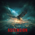 Rise Again