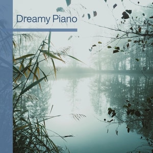 کاور آلبوم پیانوی رؤیایی ؛ جلد دوم از مجموعه Dreamy Piano از Various Artists