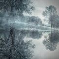 Reflections