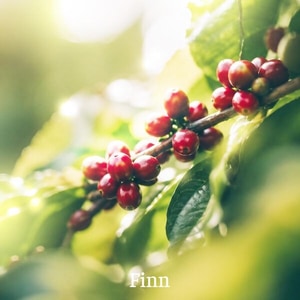کاور آلبوم آلبوم قهوه و هوا از فین؛ قطعاتی آرام برای خلوت و تمرکز از Finn