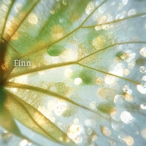 کاور آلبوم آلبوم قصه پریان (جویبار پاییزی) از فین از Finn