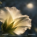 Nurturing Energy (nature piano)