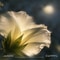 Silver Petals (nature piano)