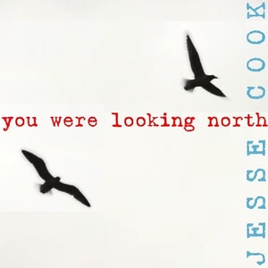کاور آهنگ you were looking north از Jesse Cook