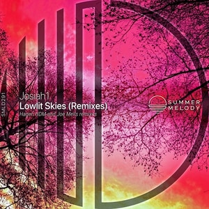 کاور آهنگ Lowlit Skies (Hagen HDM Remix) از Josiah1