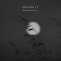 Moonlit