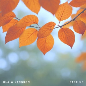 کاور آلبوم طنین نرم پیانو در آلبوم Ease Up اثر اولا دبلیو یانسون از Ola W Jansson