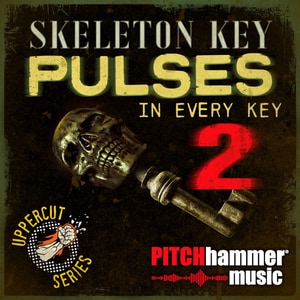کاور آلبوم پیچ همر؛ شاهکلیدِ تعلیق و ضربانهای تاریک از Pitch Hammer