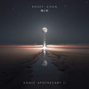 کاور آلبوم «سونیک آپوتکاری ۲»؛ تلاقی پیانو و مراقبه در اثر رزی چان از Rosey Chan