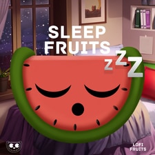 تصویر هنرمند Sleep Fruits Music