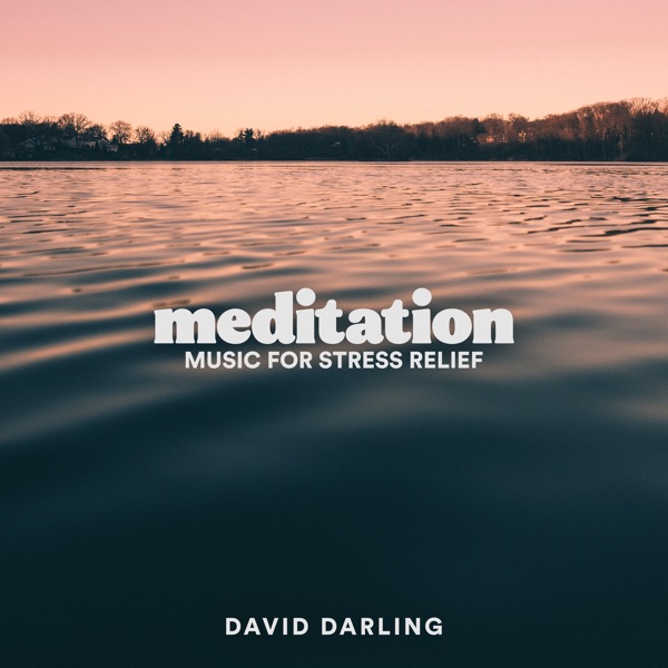 فول آلبوم دیوید دارلینگ (David Darling) - تصویر 3