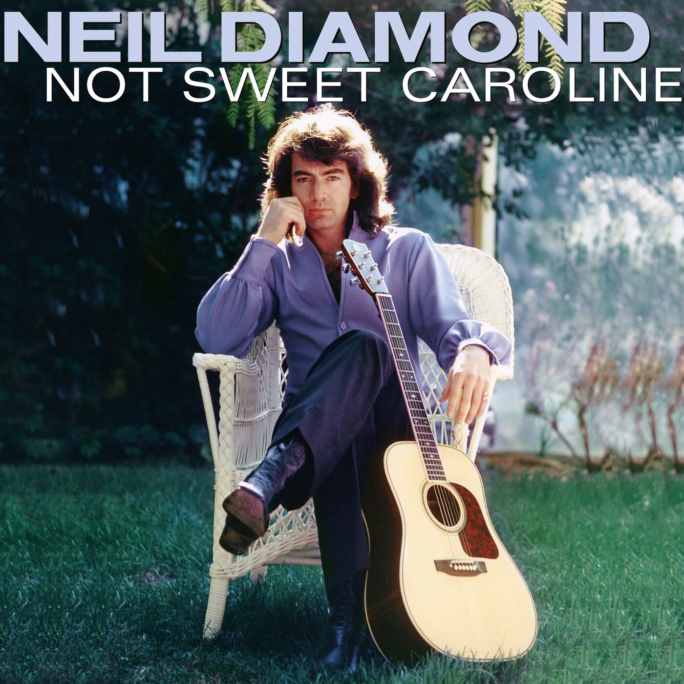فول آلبوم نیل دایمند (Neil Diamond) - تصویر 2