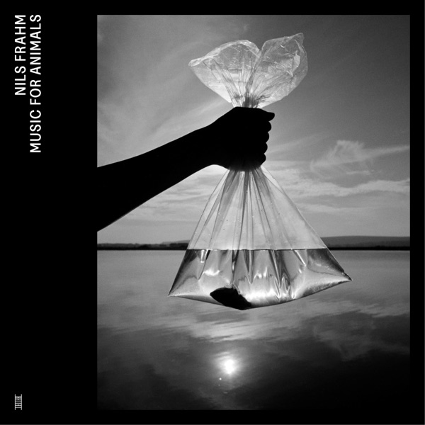 فول آلبوم نیلس فرام (Nils Frahm) - تصویر 6