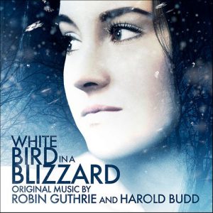 White Bird in a Blizzard